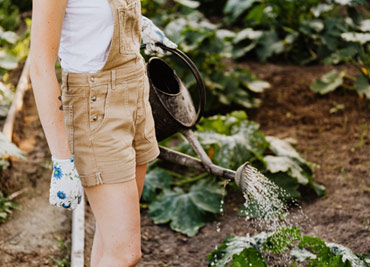 Mowing Services Melbourne