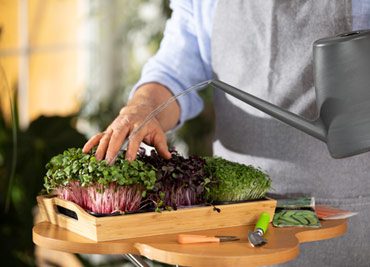 Lawn Mowing Melbourne