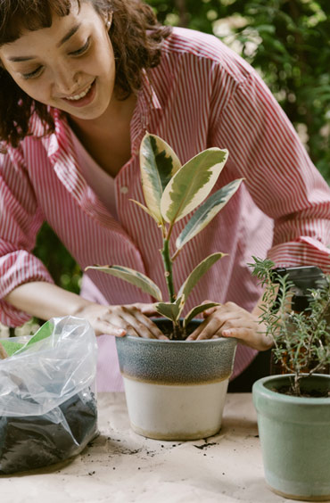 Lawn Mowing Services Melbourne