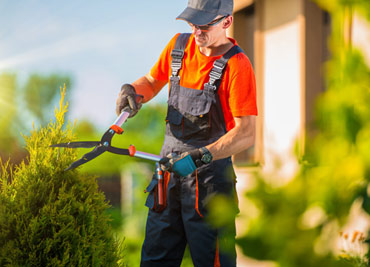 Mowing Services Melbourne