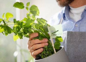 Lawn Mowing Melbourne