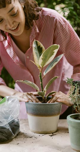Grass Cutting Melbourne