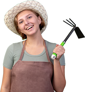 Lawn Mowing in Melbourne